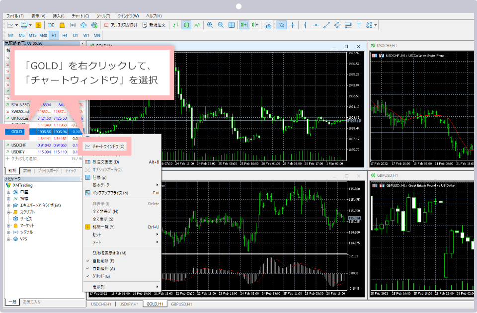 MT5 chart display PC