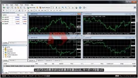 MT4 Video Tutorials