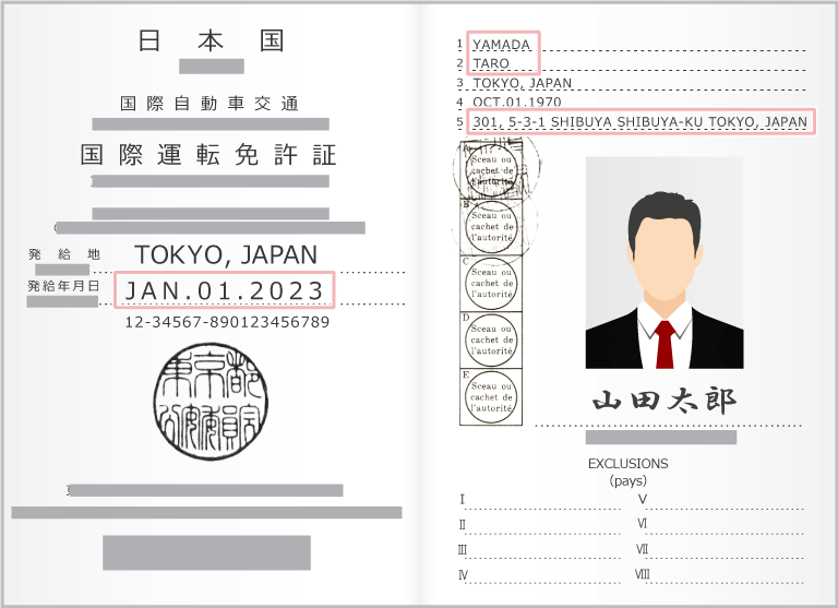 International Driver's License