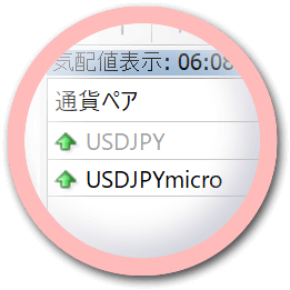 Micro Account