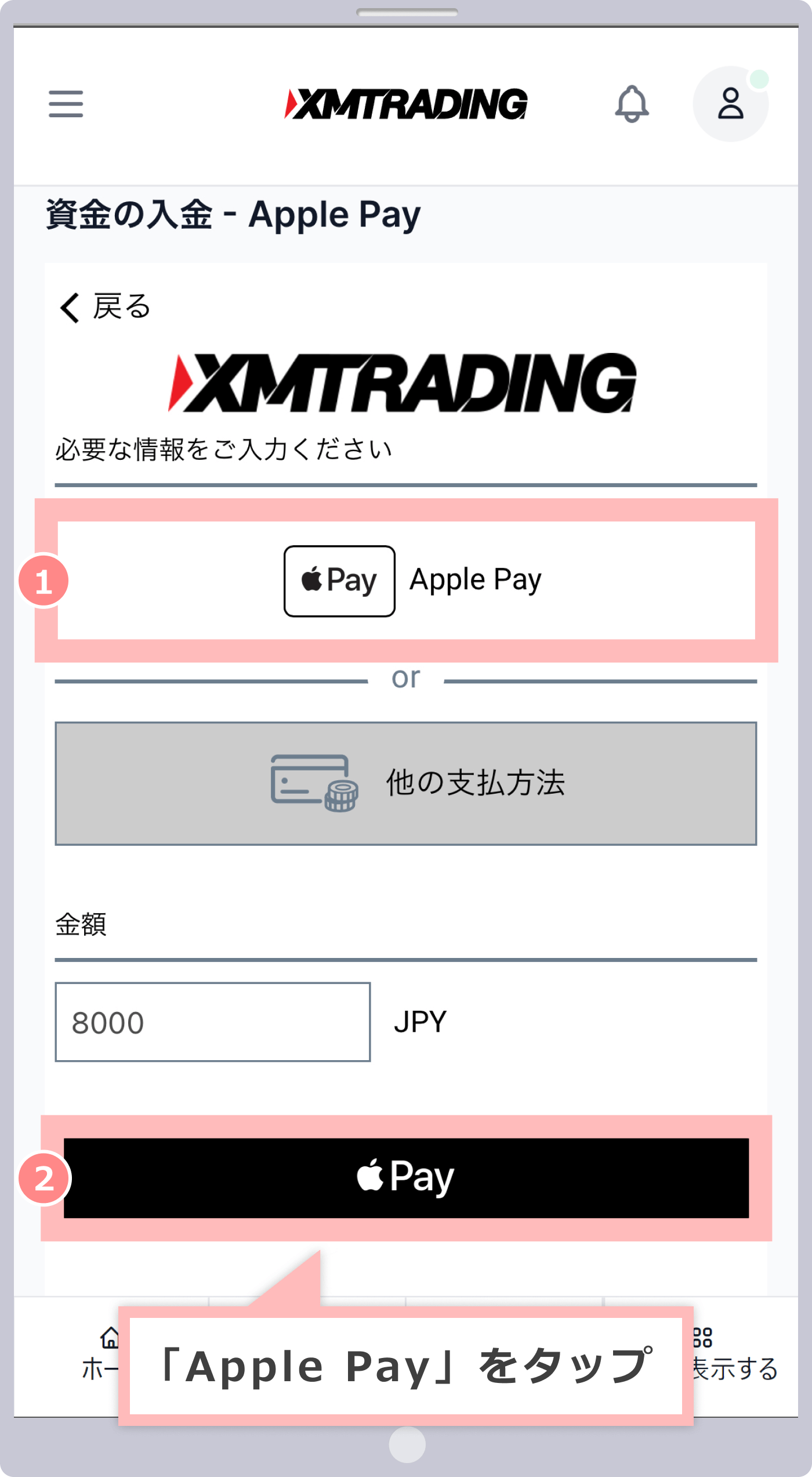 Displaying the Apple Pay payment screen