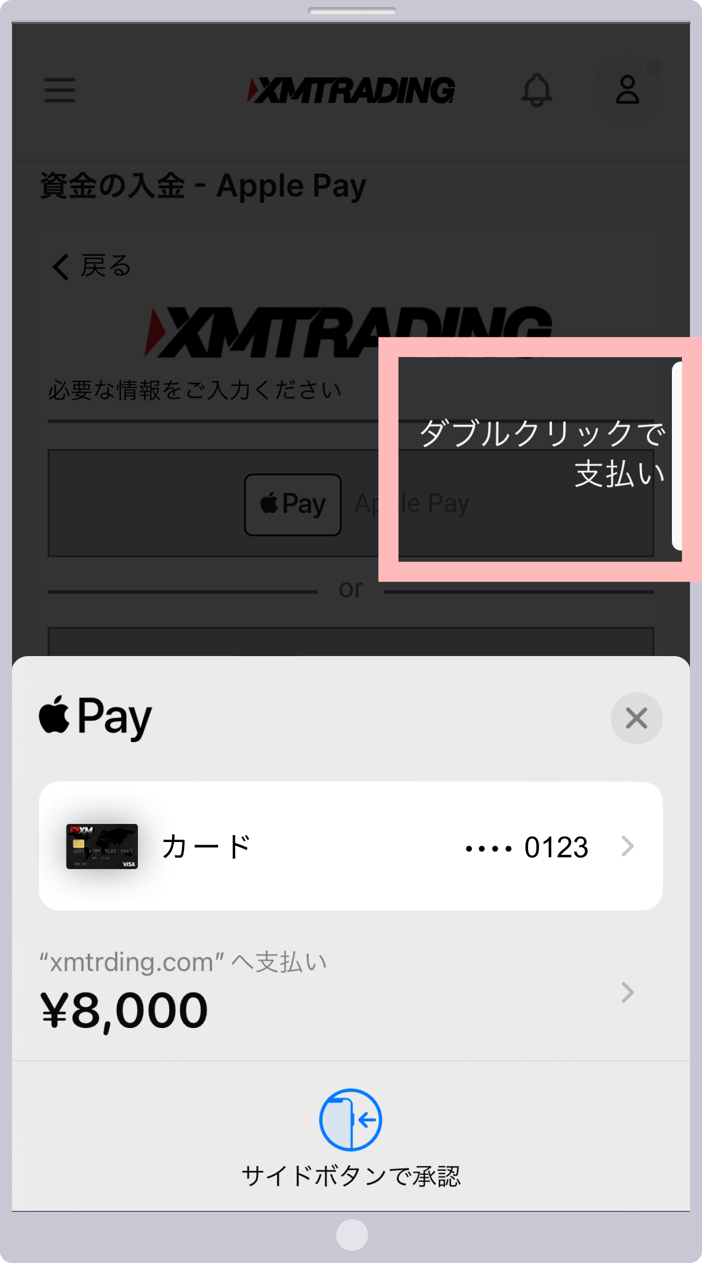 Pay via the "Authenticate" button