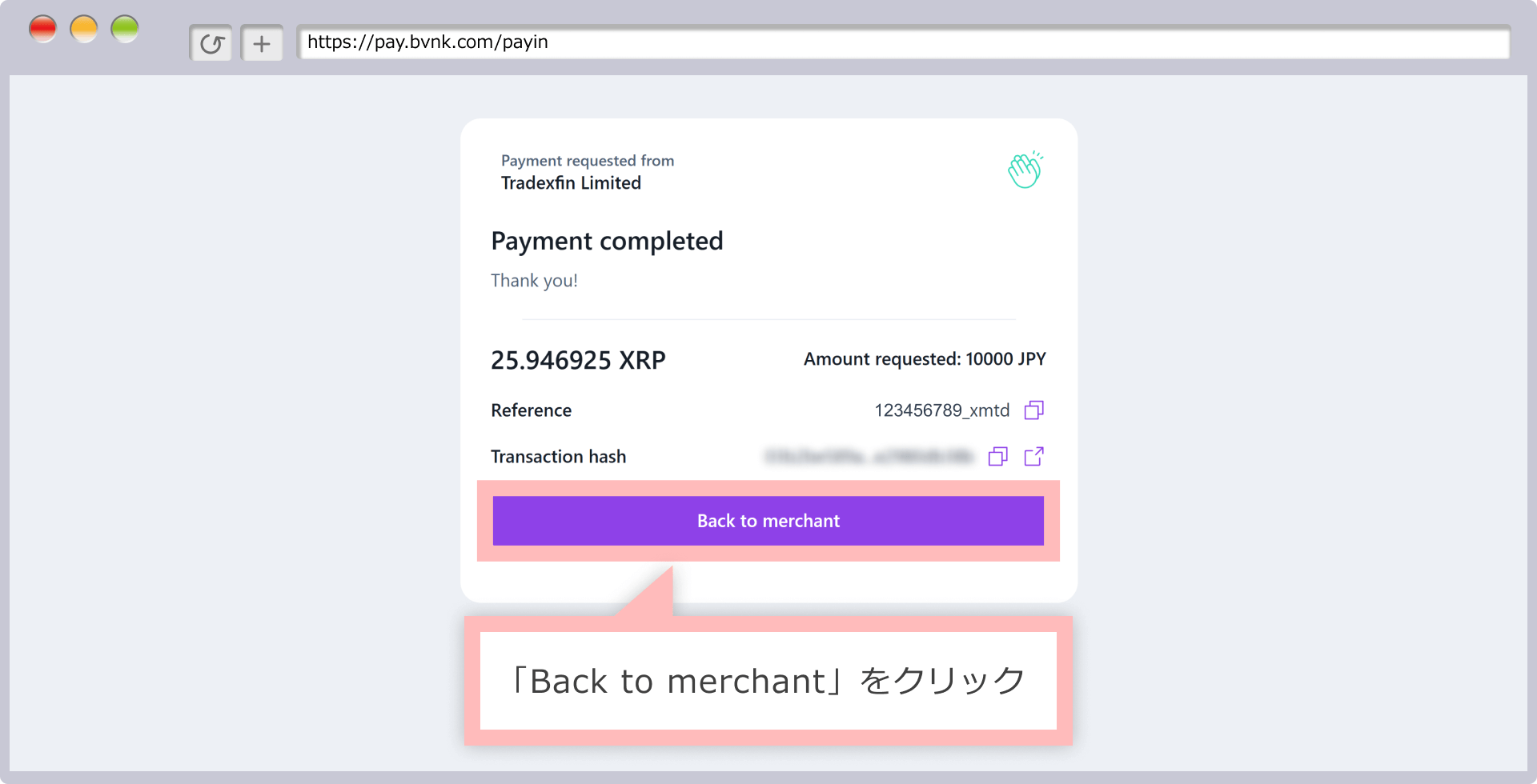 Completing the payment process