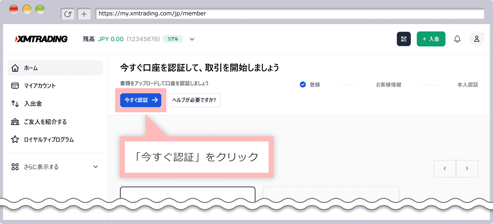 Select "Standard (1 lot = 100,000)"