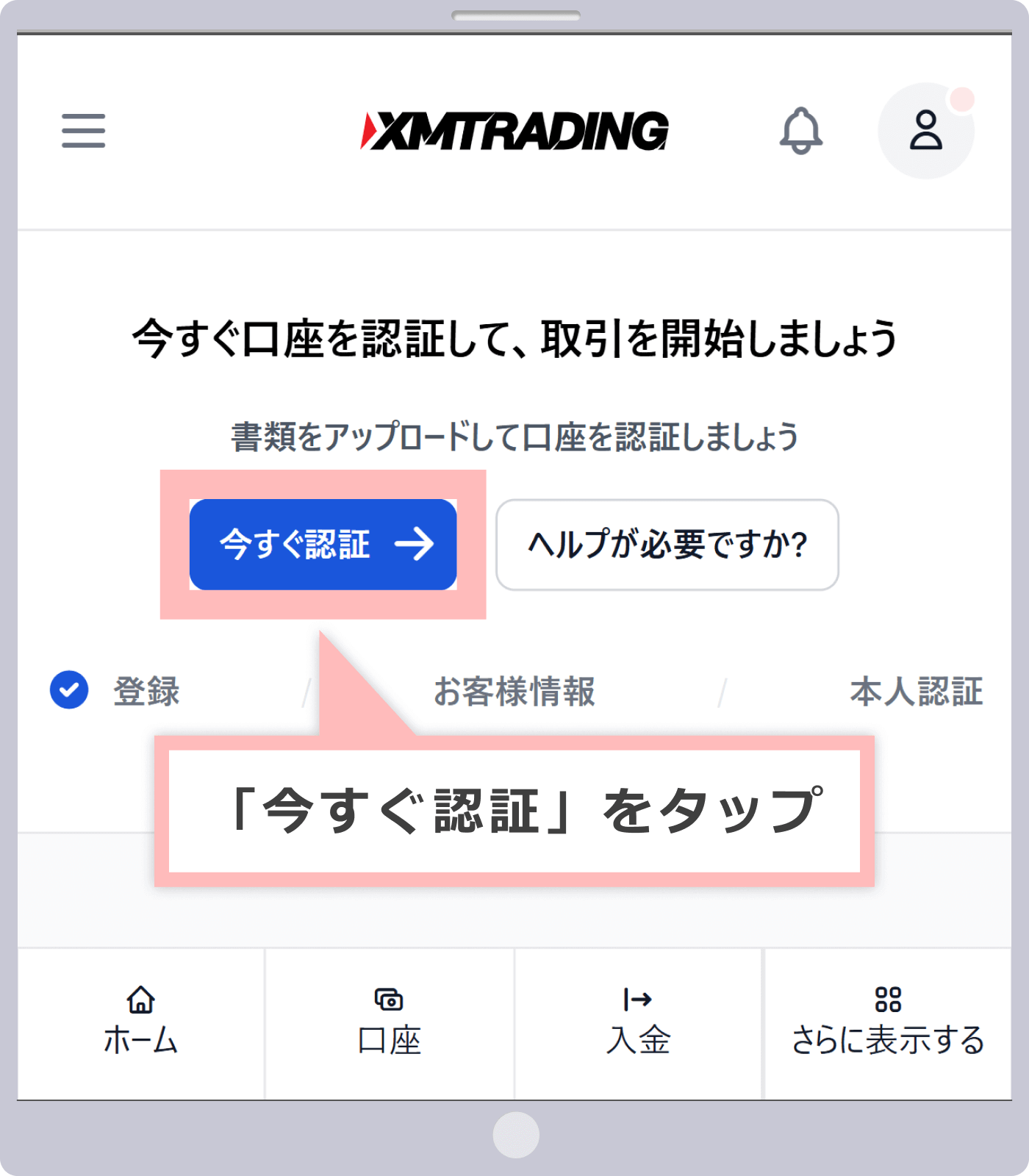 Select "Standard (1 lot = 100,000)"